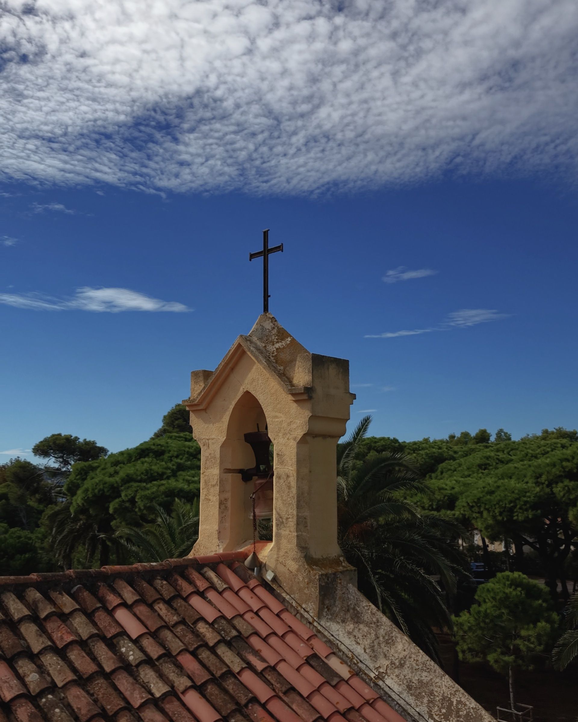 The bell tower above the pine wood and the roofs