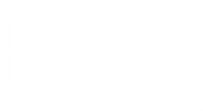 Brisa Galeria