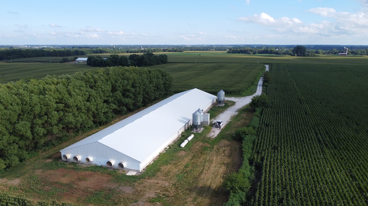 The Casey Test: 10 Steps to Total Feed Control