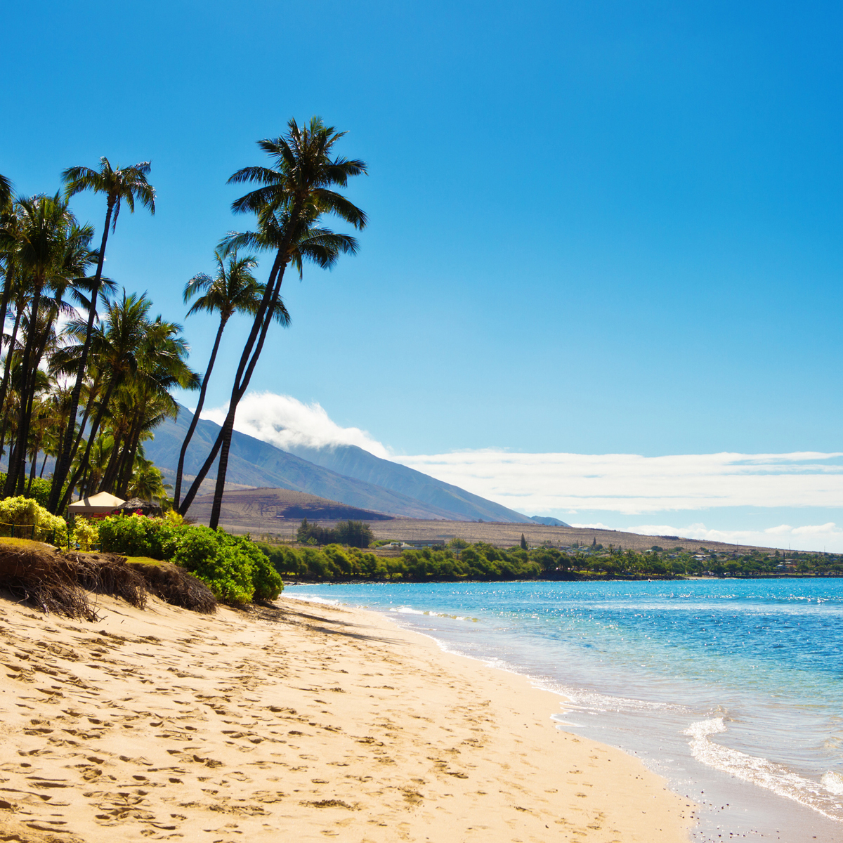 A beach in Maui, Hawaii