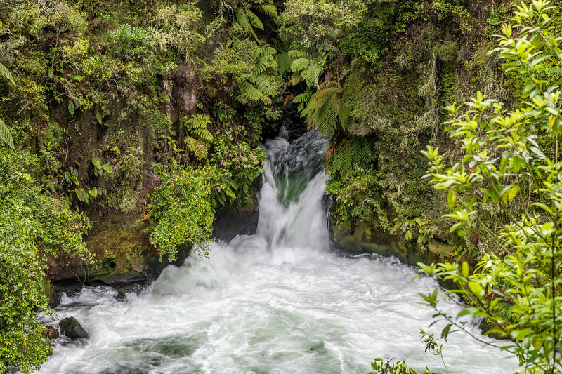 Beautiful Tutea Falls on the Kaitiuna River, Okere Falls
