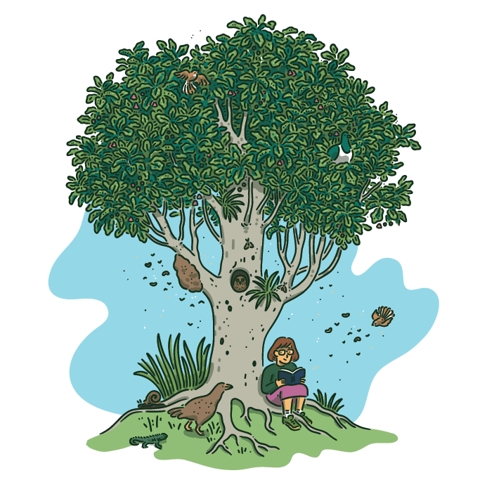Child sitting beneath mature native tree, showcasing the beauty and majesty of native forest canopy in Rotorua