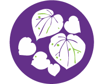 Integration icon