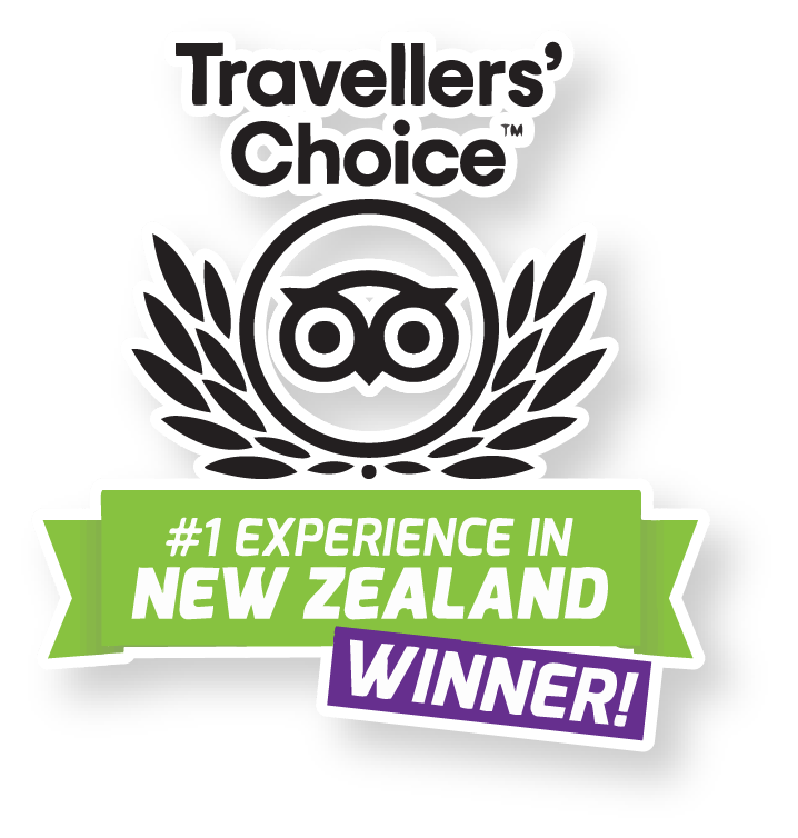 rotorua rafting NZ experience traveller's choice awardee