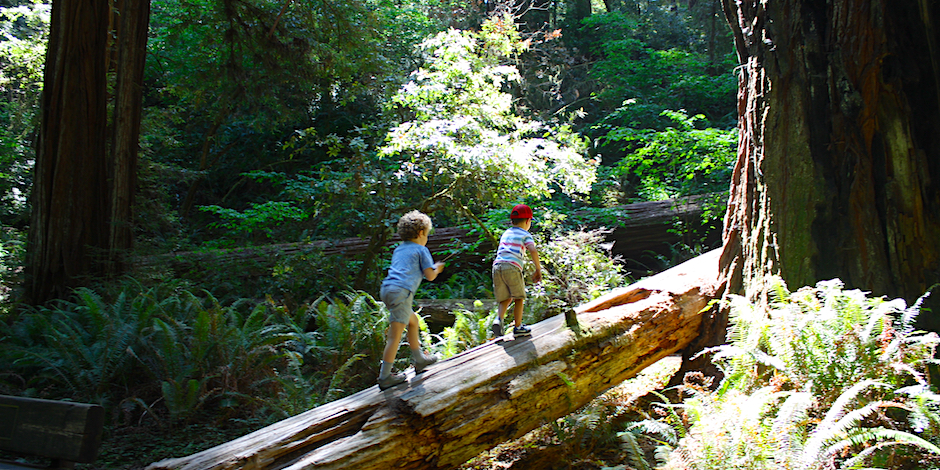 Playing on Trees