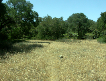 San Mateo Canyon
