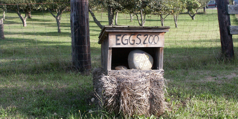 Fresh Eggs, Lopez Island