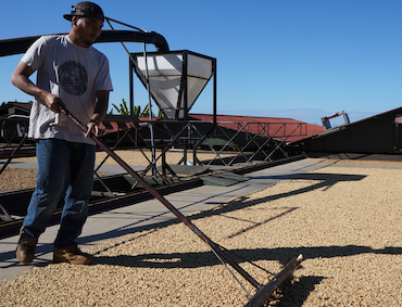 Coffee Farm