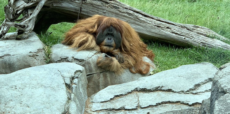 San Diego Zoo
