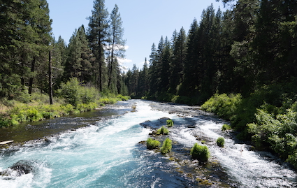 Metolius River