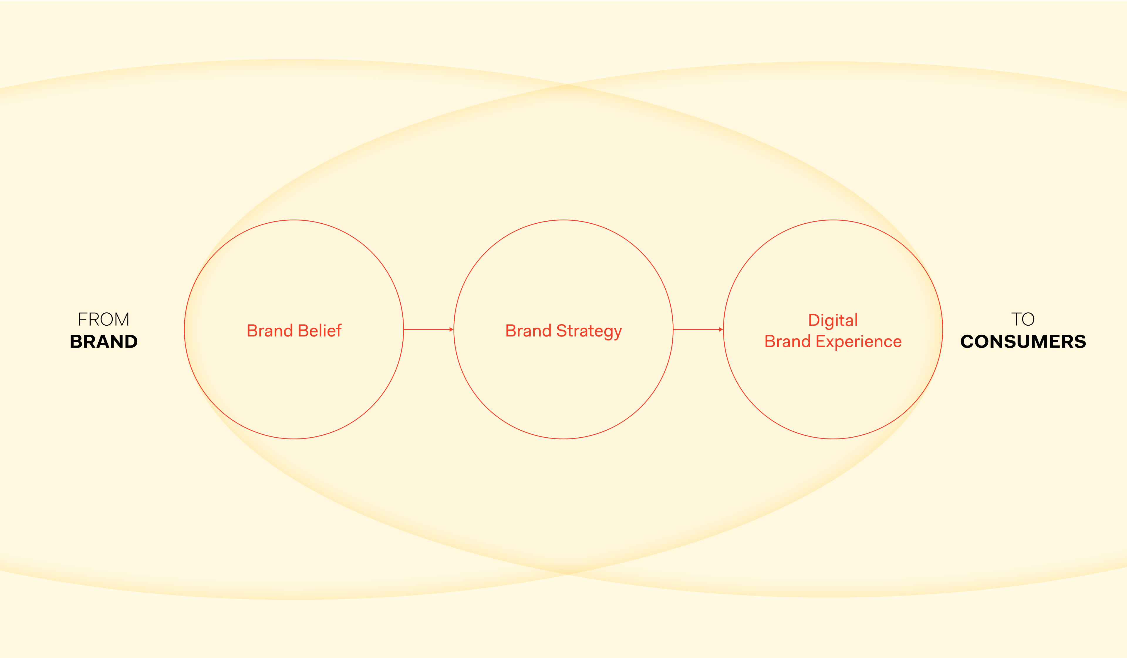 DNA translated OLLI's brand vision into strategy and unified digital brand experience