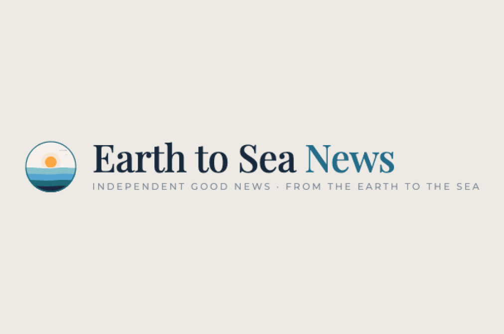 earthtoseanews logo