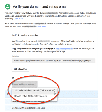 add domain host records