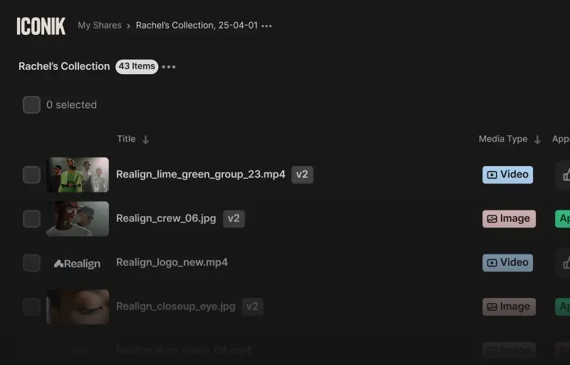 image of Iconik UI with a specific collection
