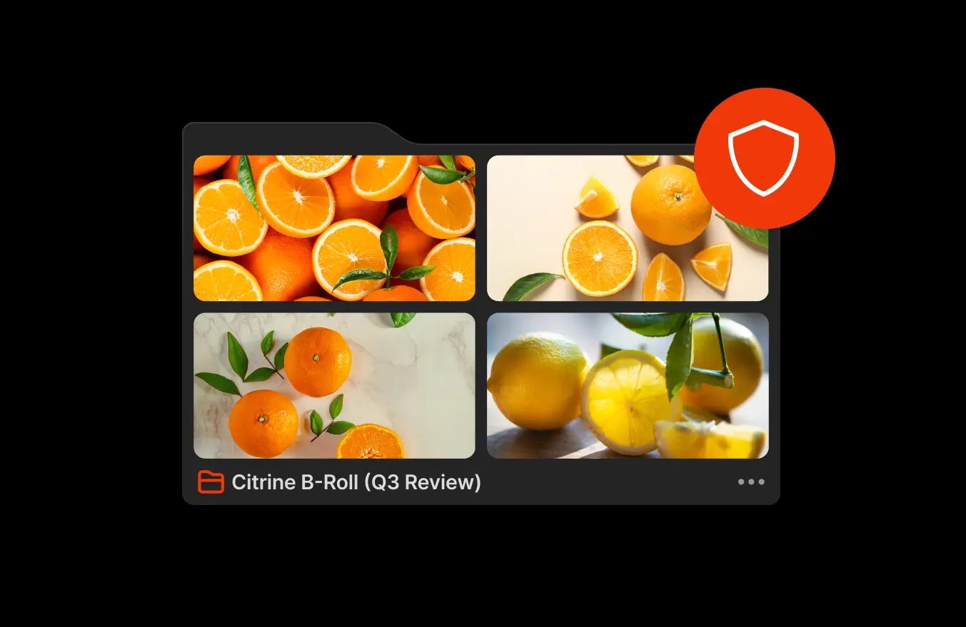 collage of images showcasing Iconik's collaboration and review functionality