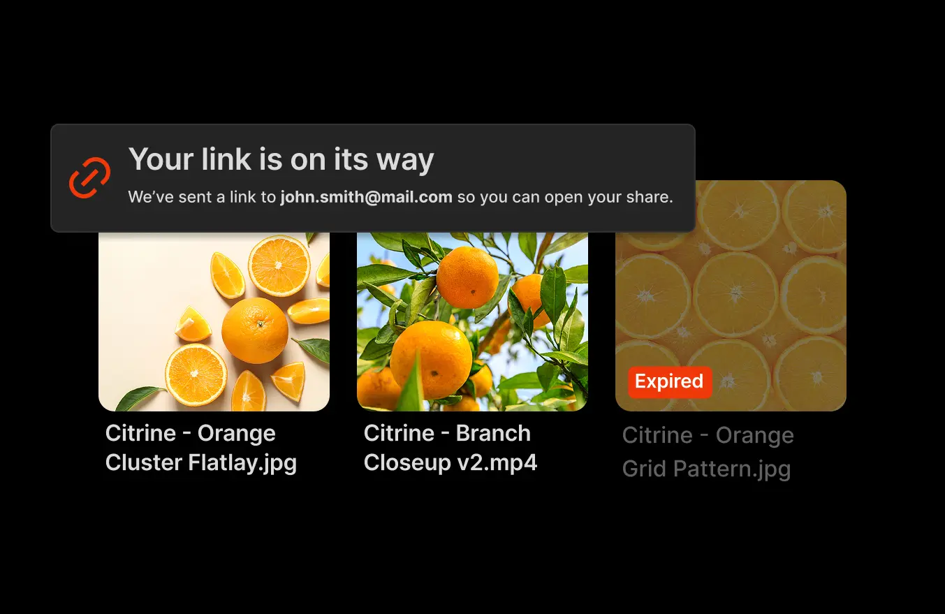 collage of images showcasing Iconik's collaboration and review functionality