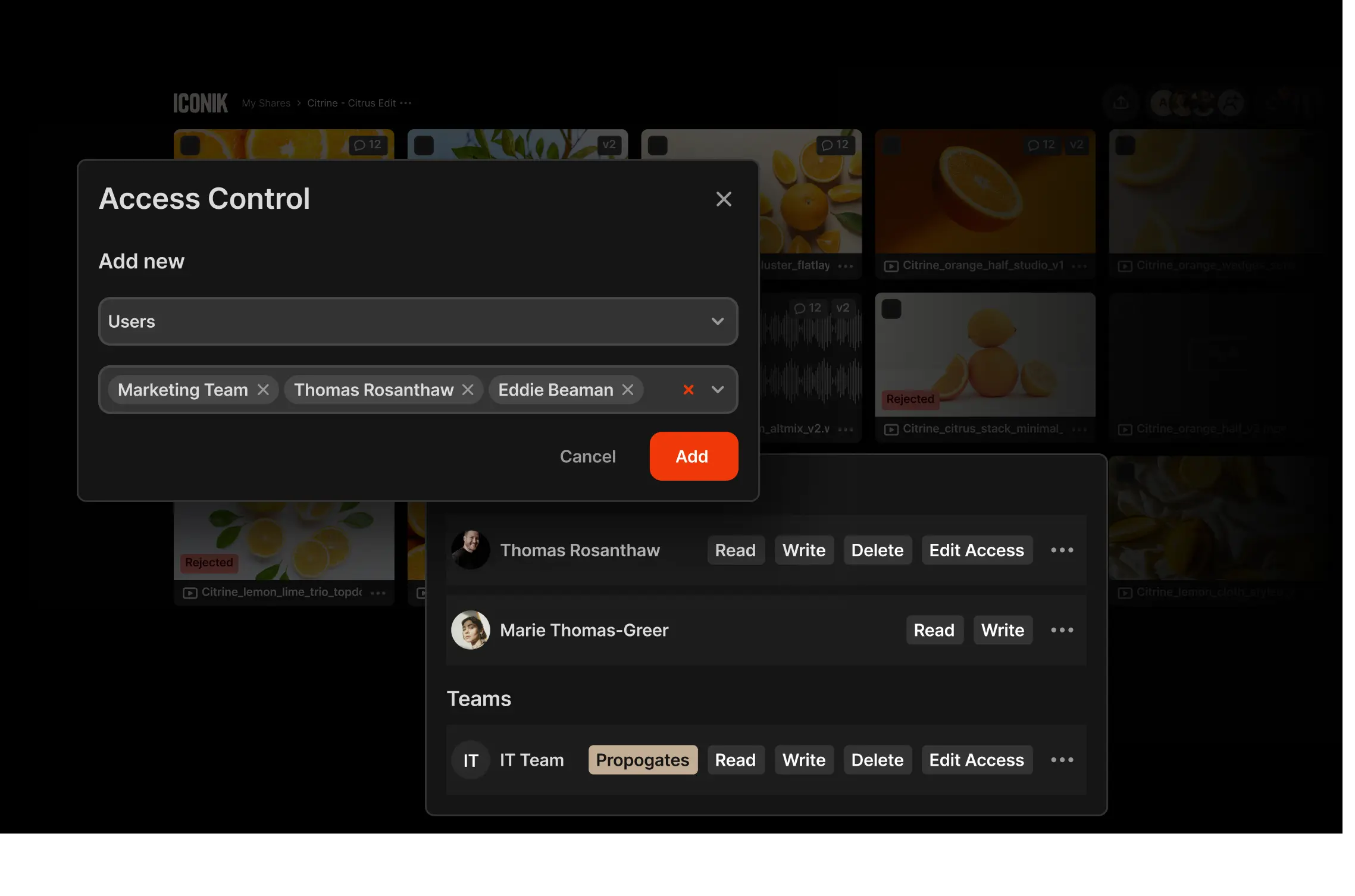 Image of Iconik's user-friendly UI, tons of images all in one place easy for everyone to access