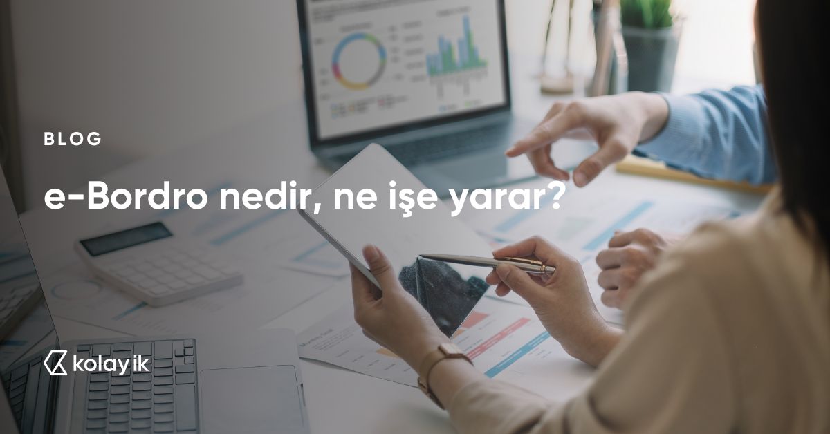 maaş bordrosu e-devlet