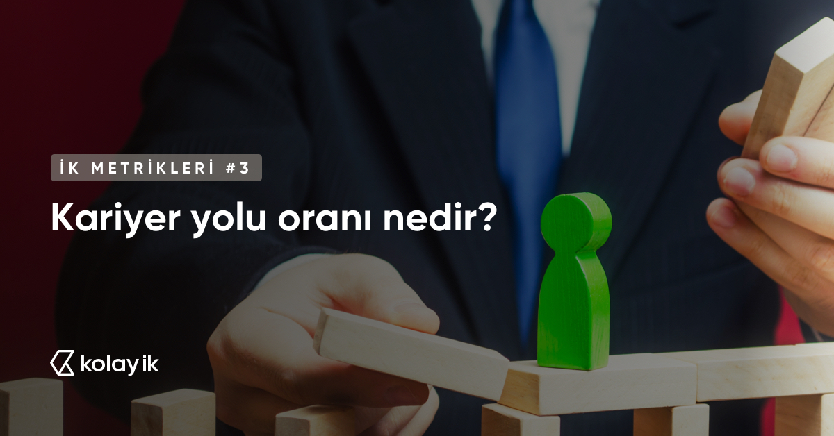 kariyer yolu oranı nedir?