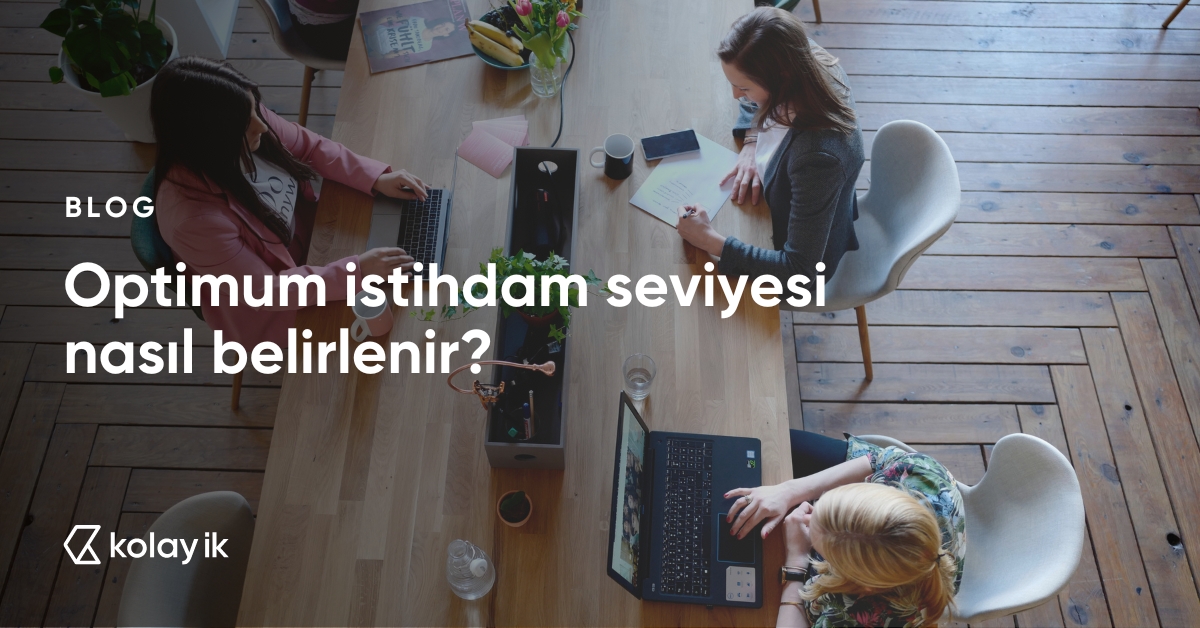 optimum istihdam seviyesi nedir?