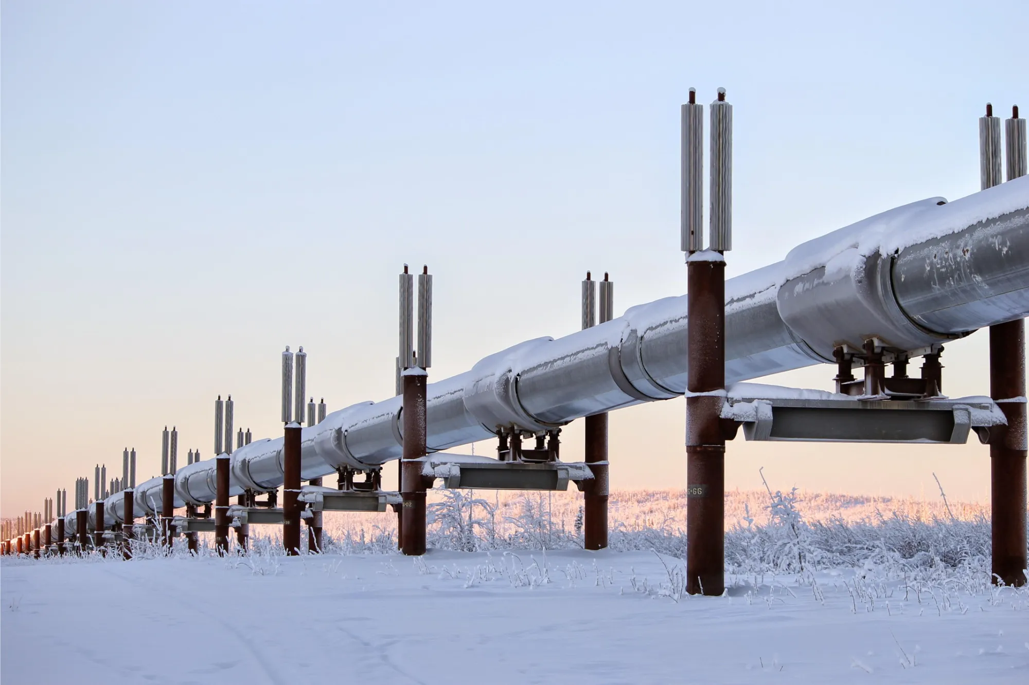 Multinational Fuel Supplier