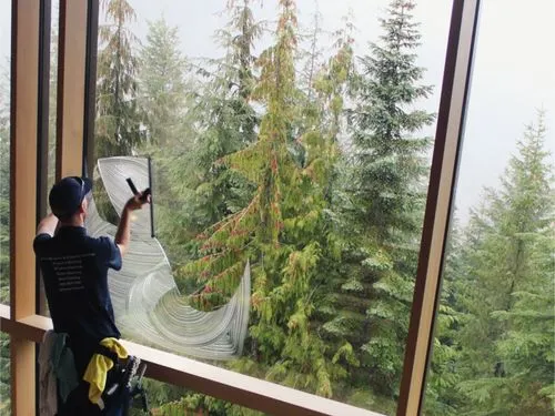 Sierra Window & Property Services photo 2