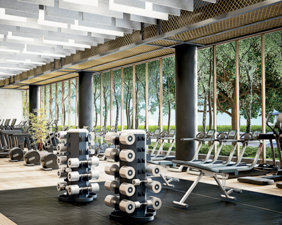 Bucktown Fitness Club Chicago: Complete Guide to Top Gyms in the Neighborhood