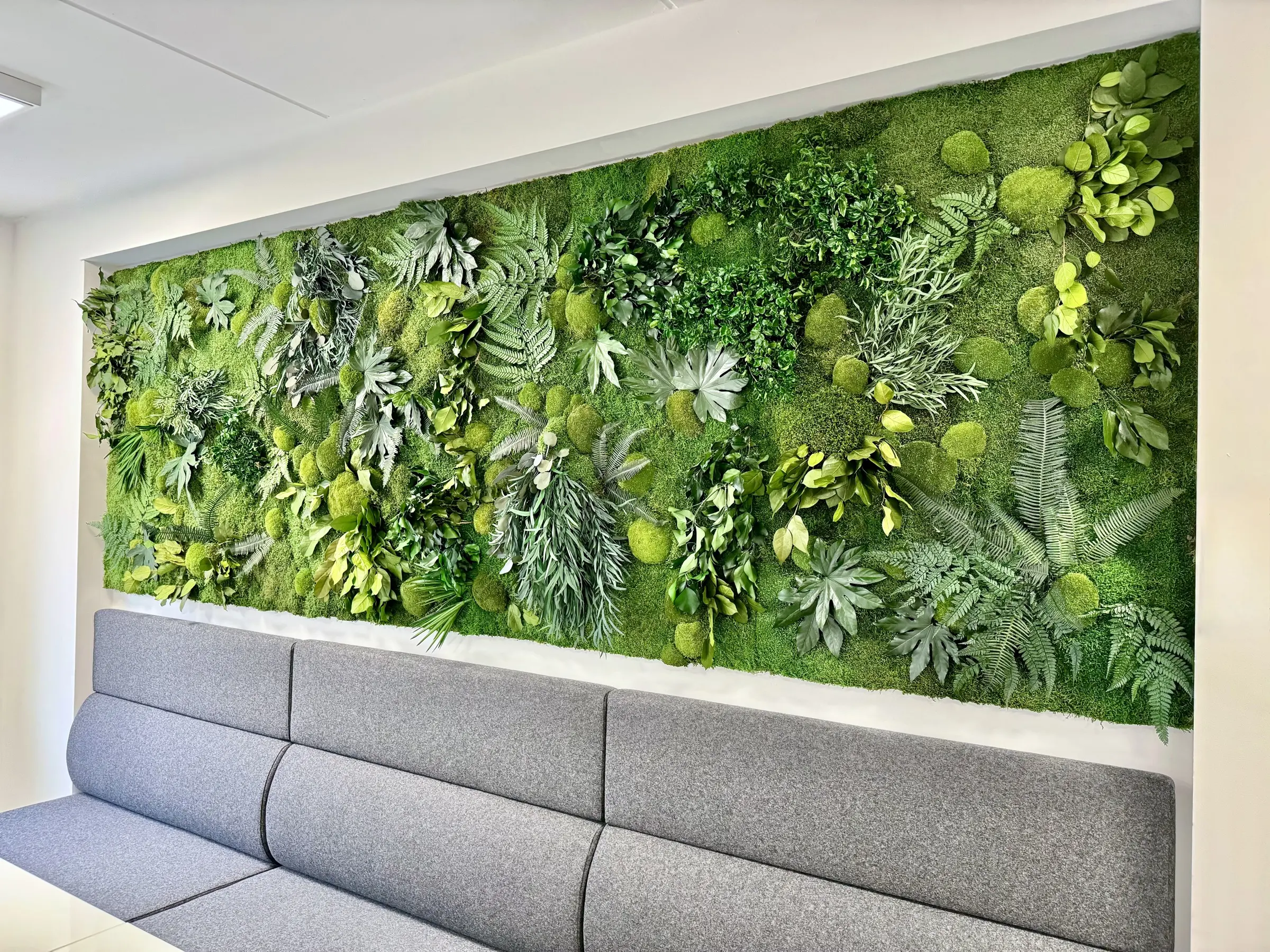 Lebendige Dschungelwand im Eingangsbereich eines Büros mit Polstermöbeln