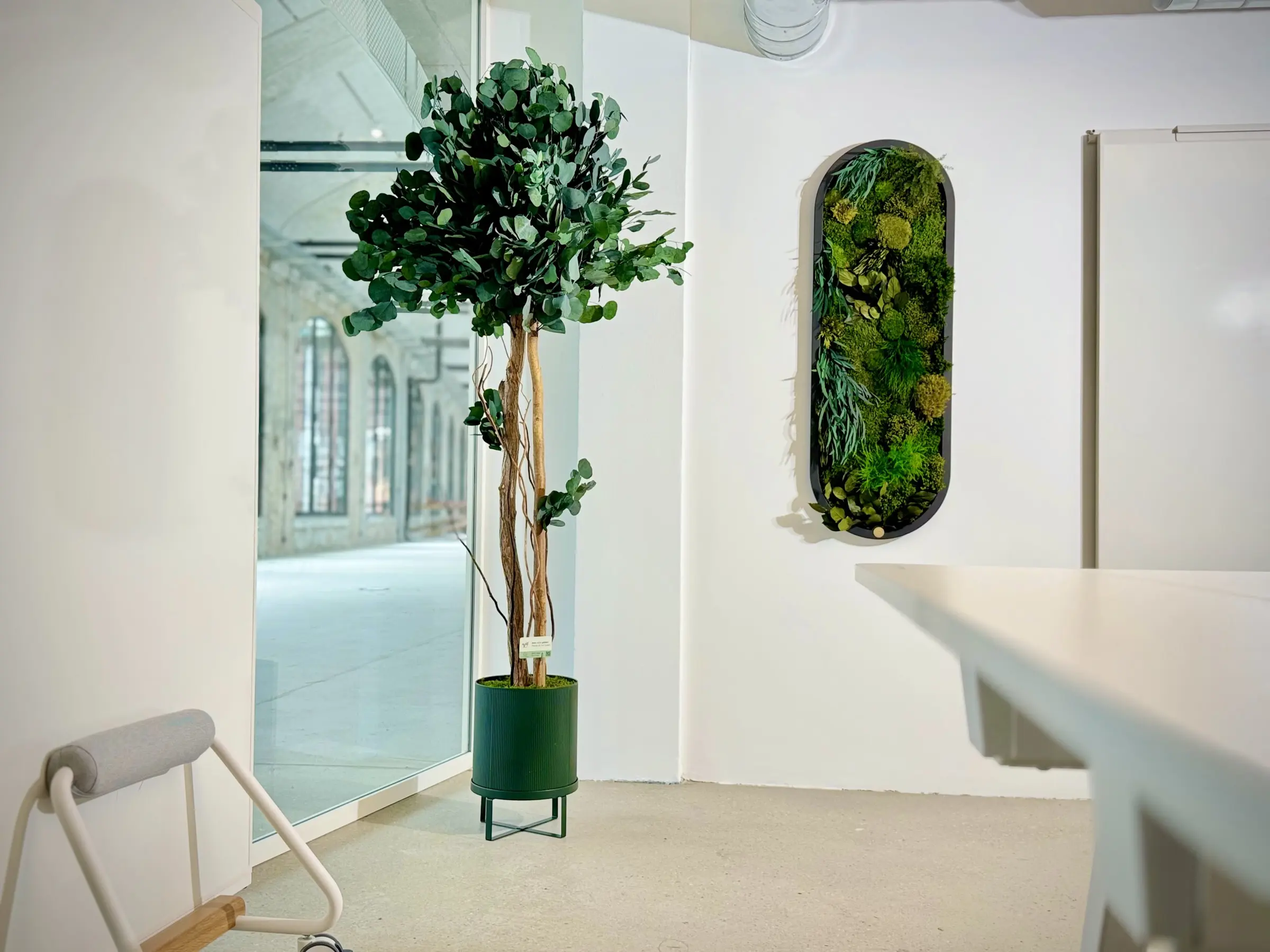 Echte konservierte Pflanze im Büro mit unserem Rahmen „Green Elegance“