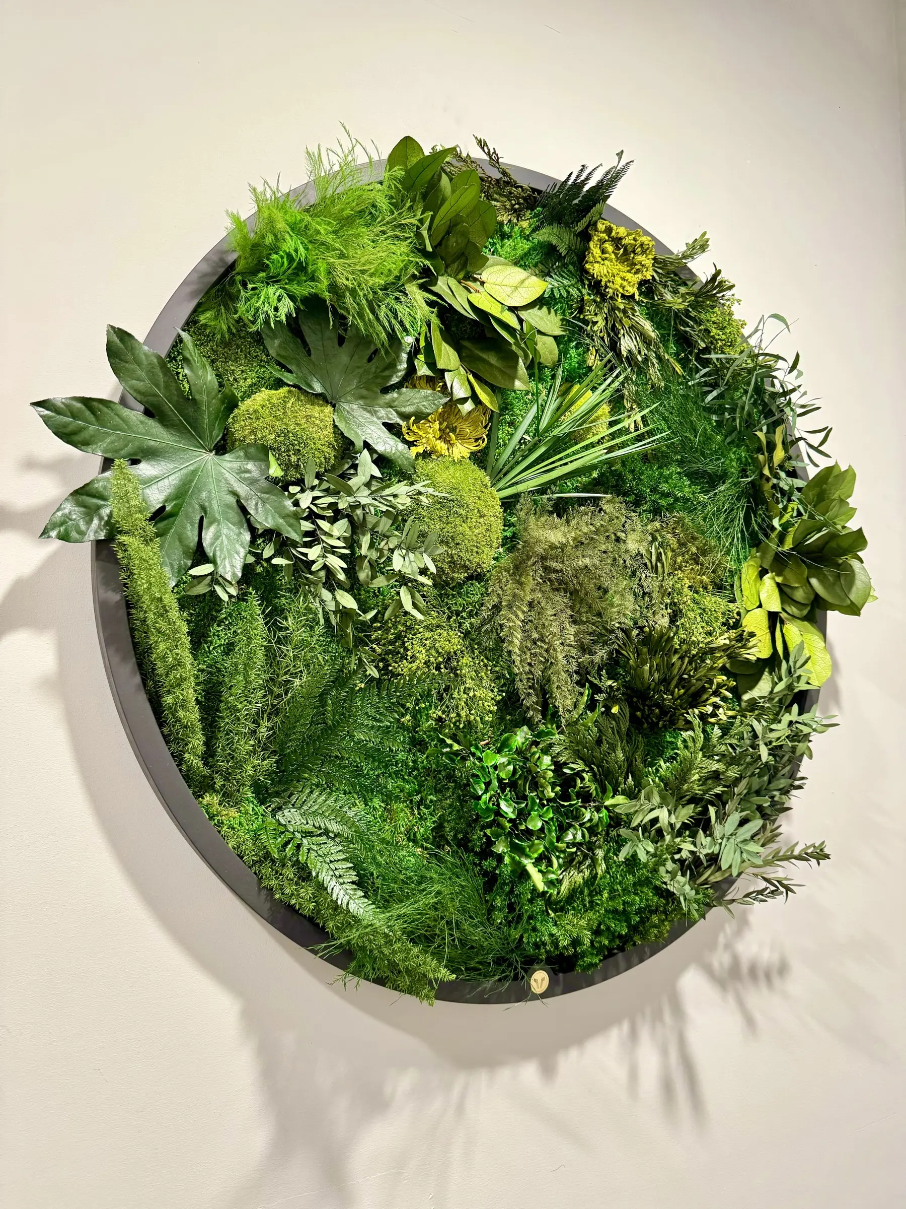 Runder Rahmen aus der Serie „Green Elegance“, gefüllt mit Dschungelpflanzen