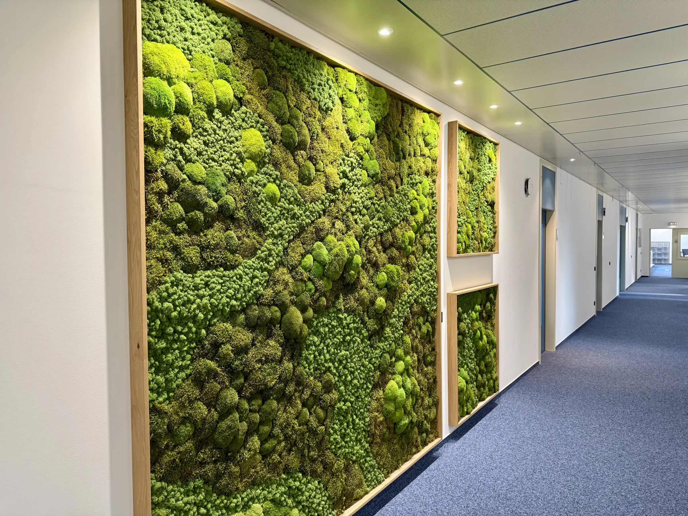 Großer Eichenrahmen, gefüllt mit Moosmischung in natürlichem Design