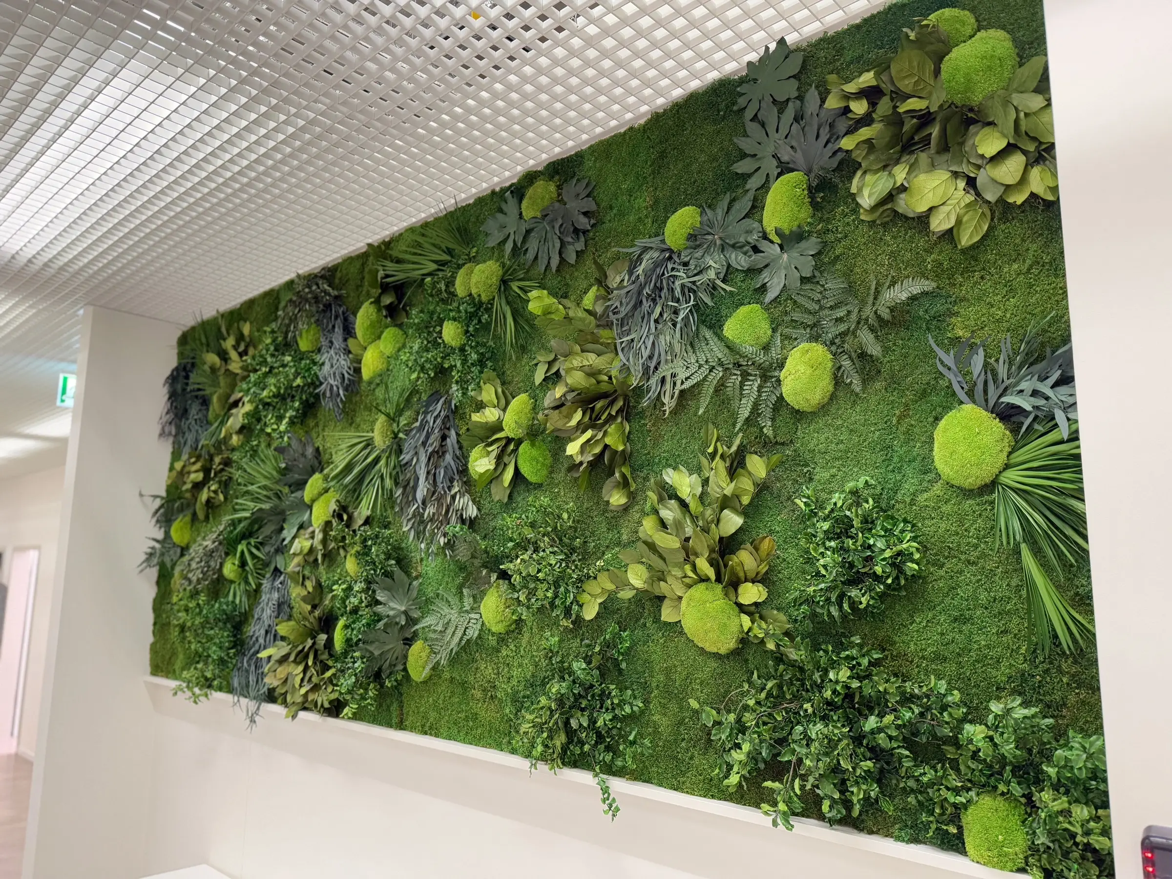 Dschungelinstallation im medizinischen Bereich eines Unternehmens