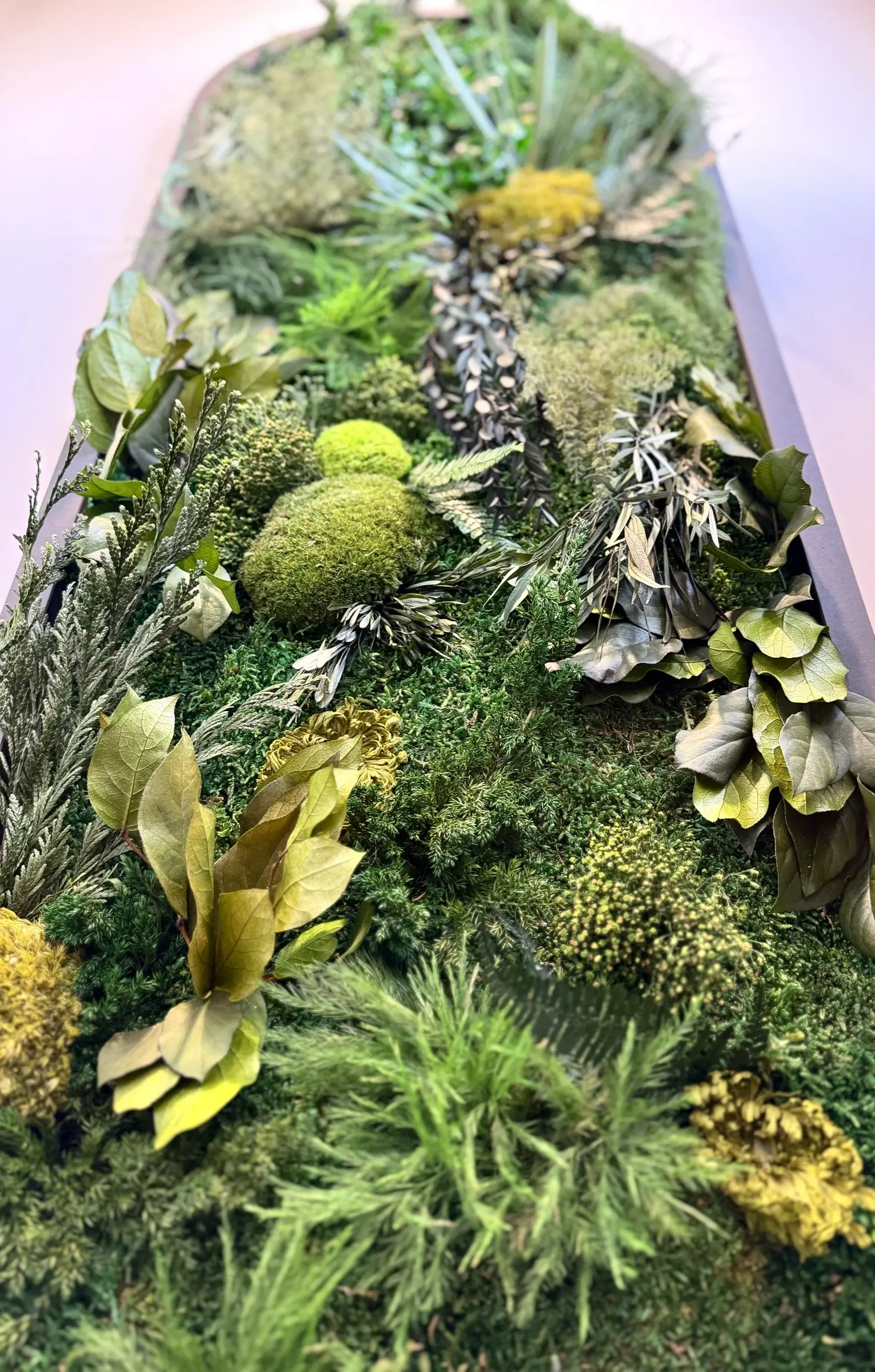 Unser Rahmen „Green Elegance“ vereint verschiedene Pflanzenarten zu einer wunderschönen Collage.