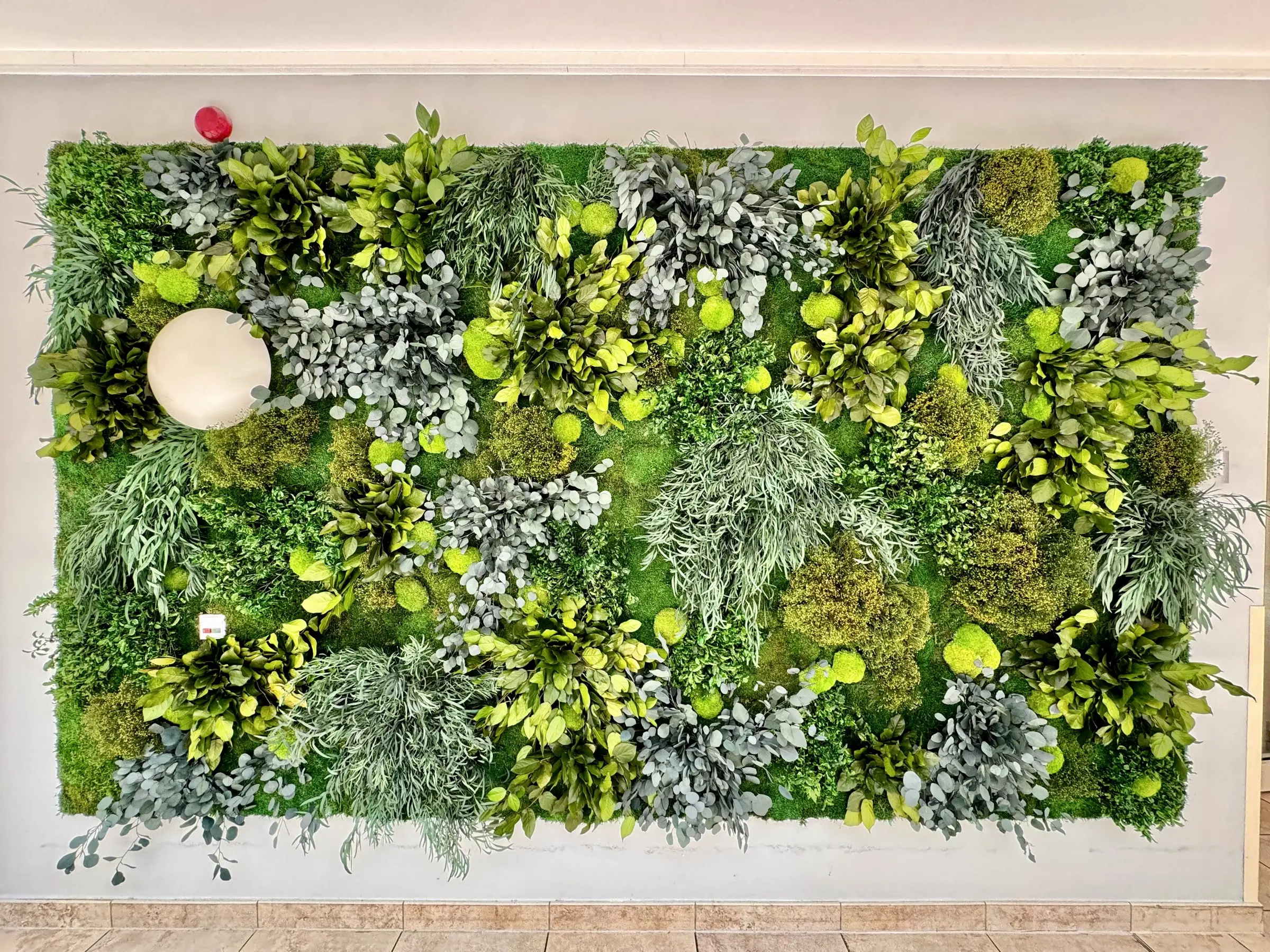 Individual plant wall creating a calming atmosphere in the common area of a medical facility