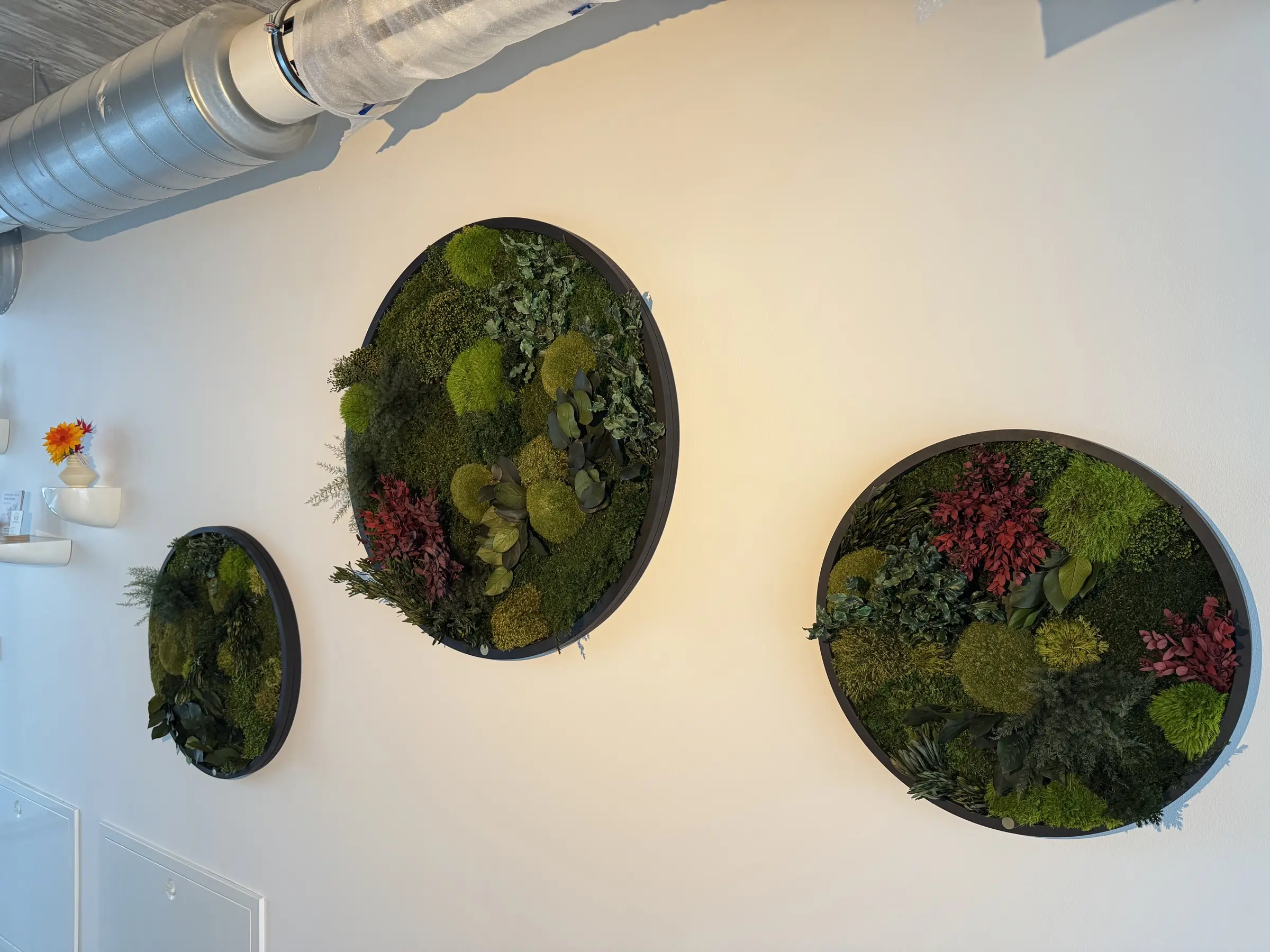 Circular Designer Frames filled with preserved plants and moss