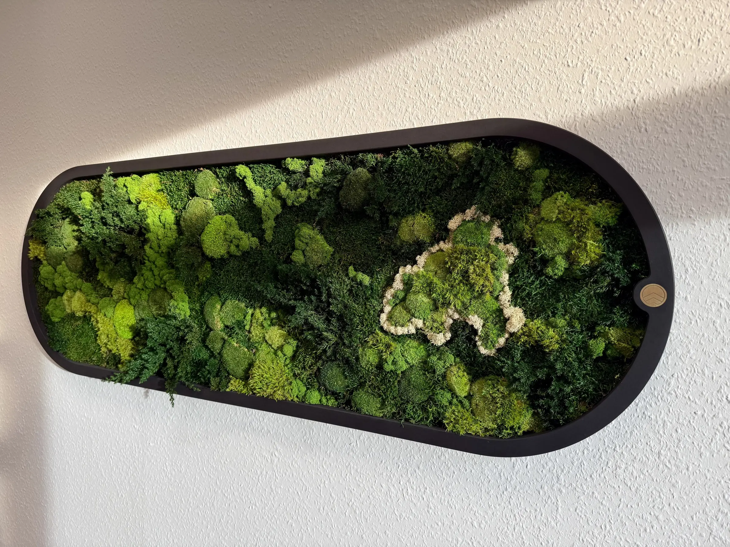 Moss Mix for Kappler Headquarters, where the city border of Pfalzgrafenweiler was traced in white Islandmoss and the surrounding regions were represented with a variety of mosses