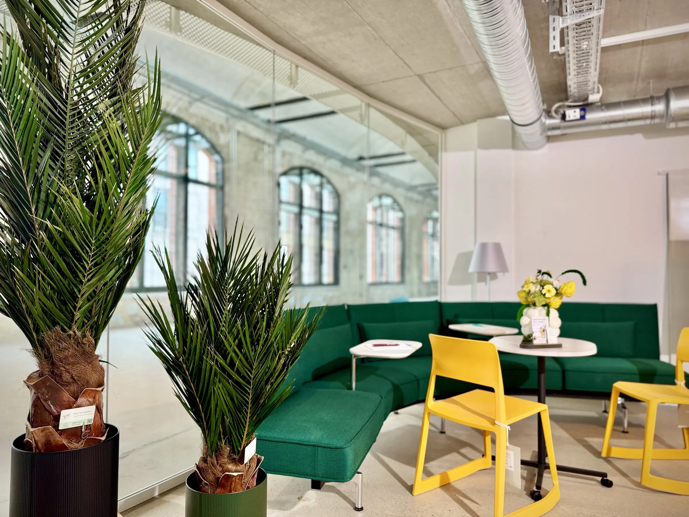 preserved potted palm plants installed at BNB Postbahnhof Berlin in cooperation with Vitra and Raumhaus
