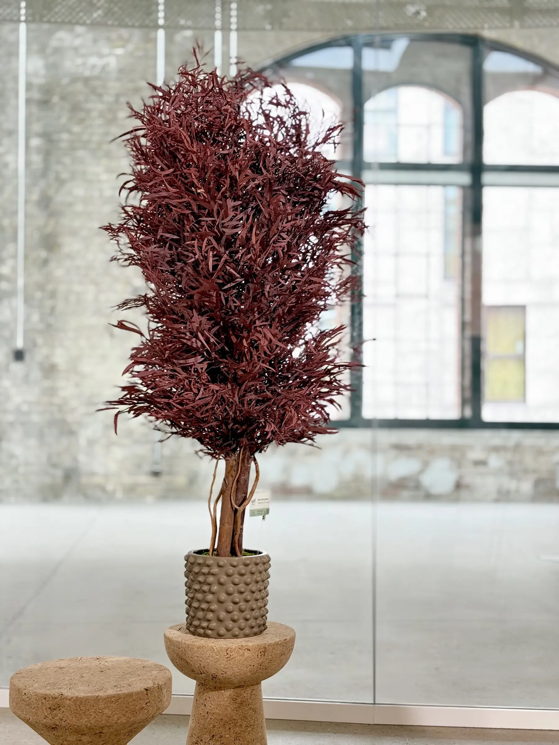Preserved red eucalyptus potted plant installed at BNB Postbahnhof Berlin in cooperation with Vitra and Raumhaus
