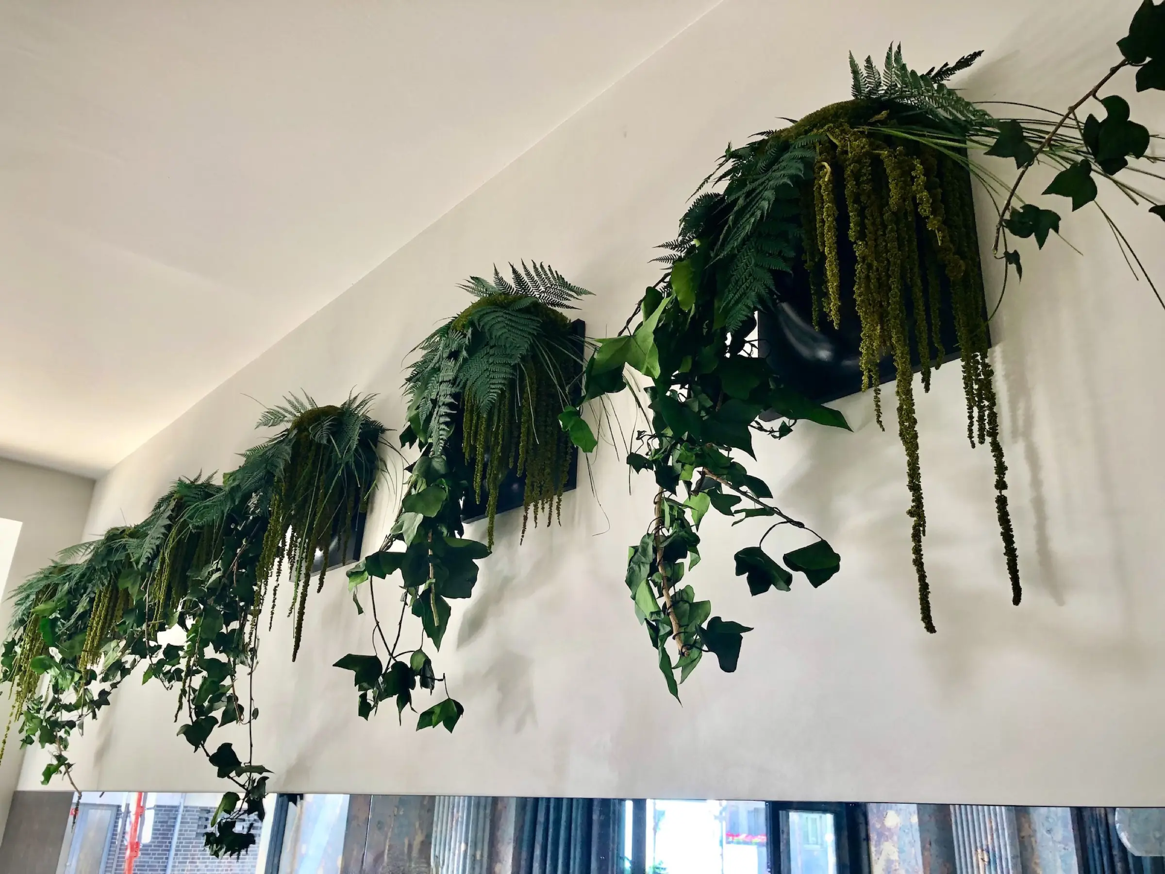 Custom wall pots featuring an arrangement of conserved plants, creating a natural green feature for restaurant interiors