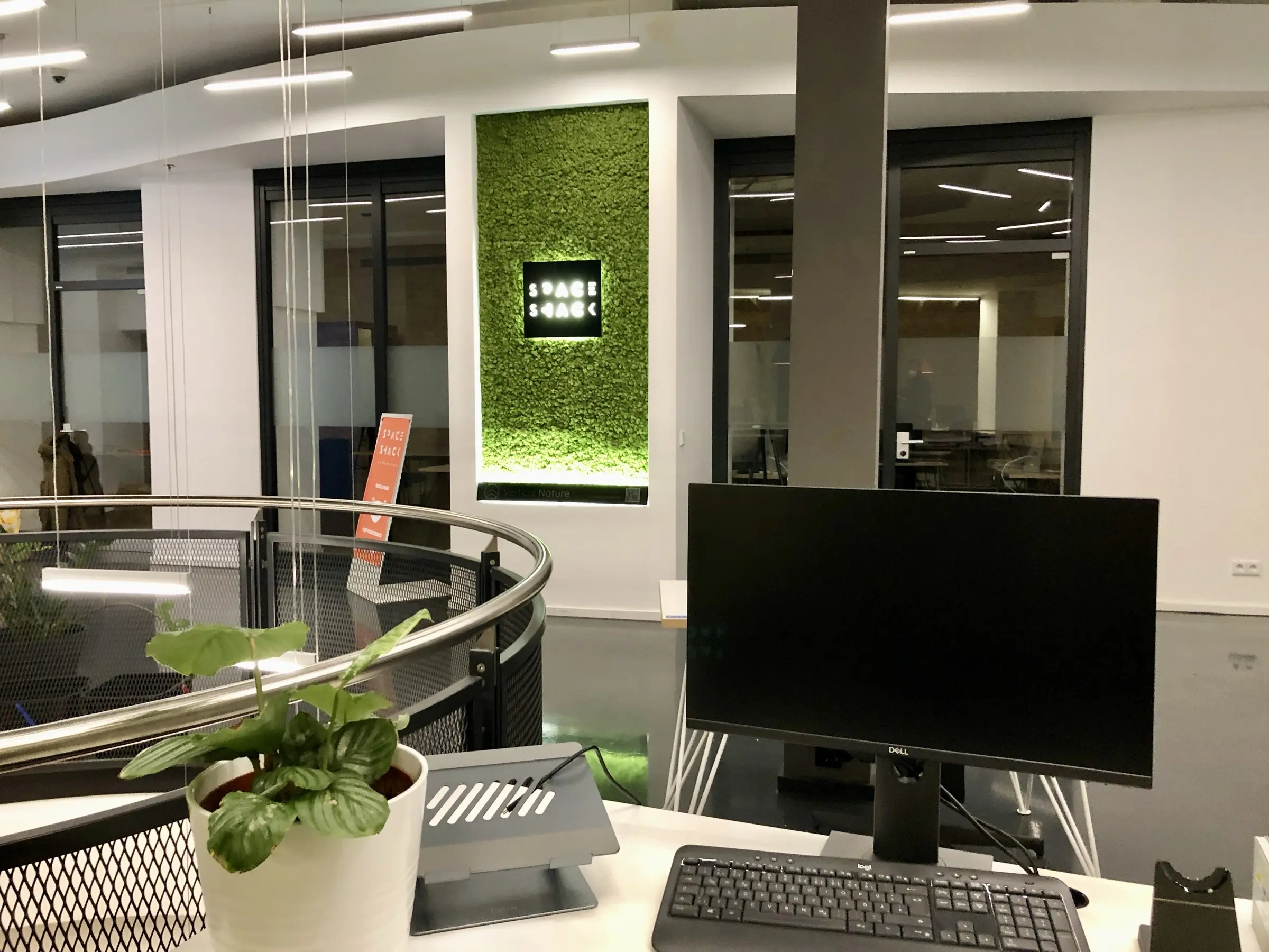 Custom niche equipped with preserved island moss wall featuring illuminated Space Shack logo a coworking space