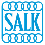 Salk
