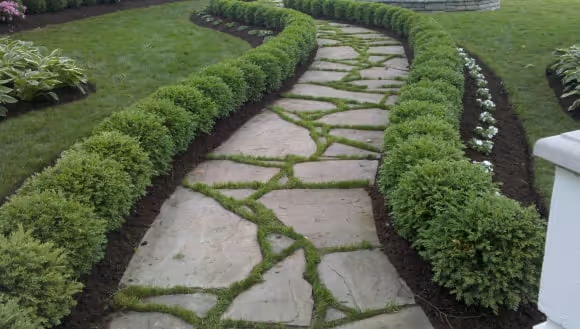 Stone path.