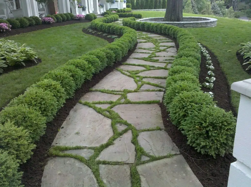 featured project