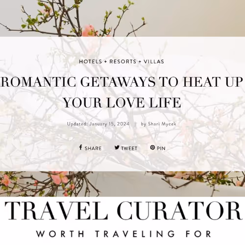 Travel Curator