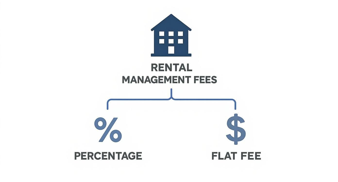 Infographic about how much do rental management companies charge