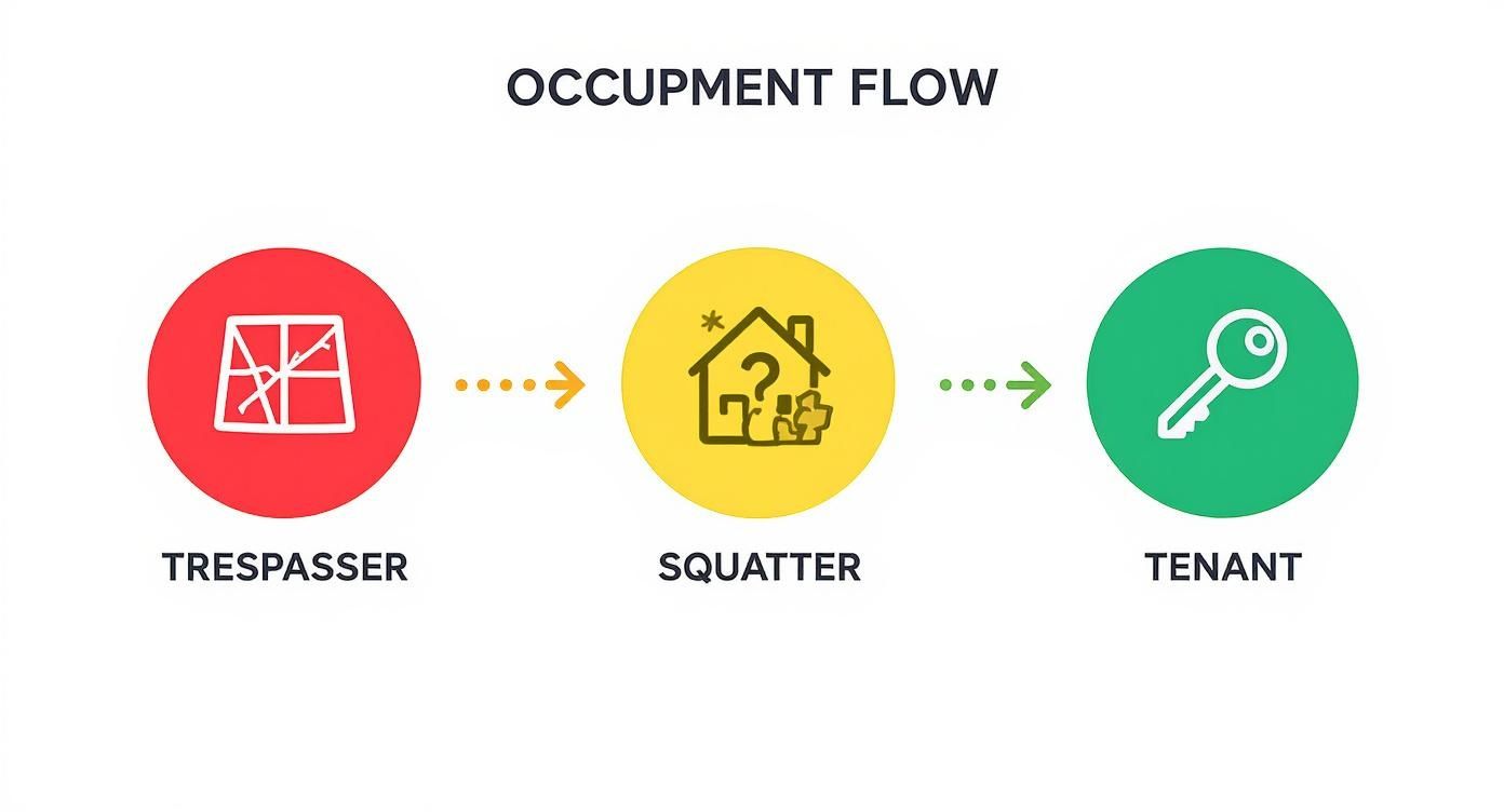 Infographic about how to evict a squatter