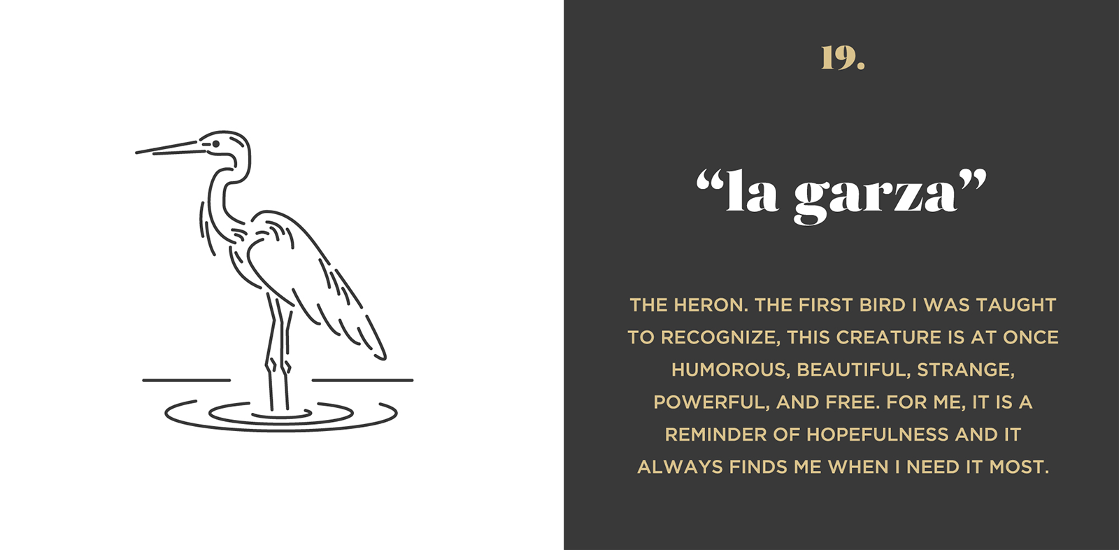 La Garza illustration & story