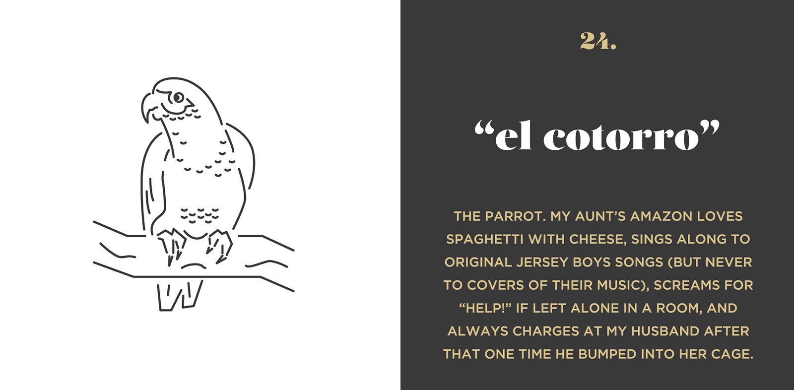 El Cotorro illustration & story