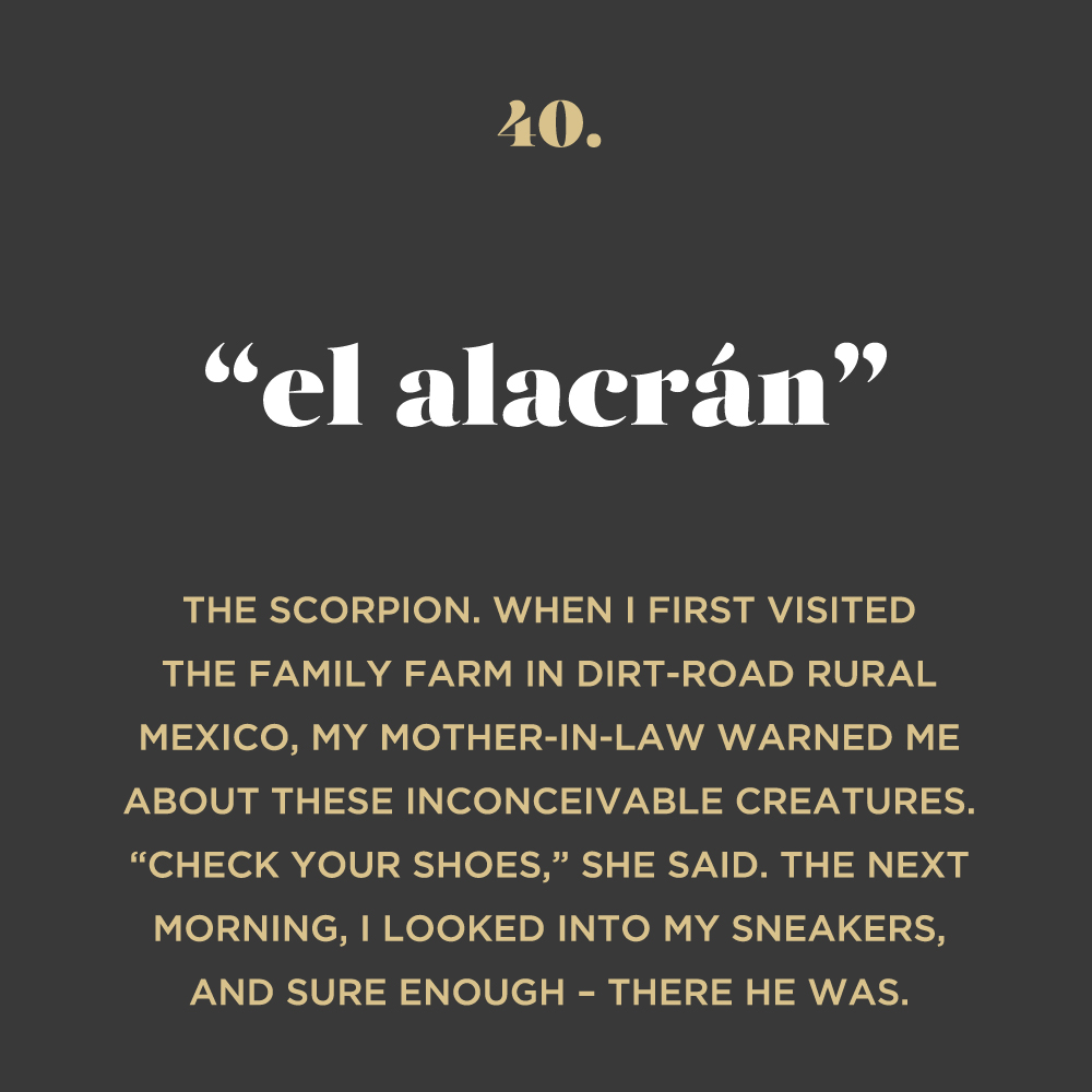 el alacrán story