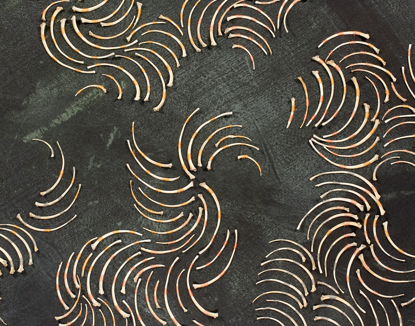 Curved python rib bones embroidered into dark gray / green fabric